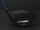 ALv_Nc ADR 2011Nf hCo[ (JX^)