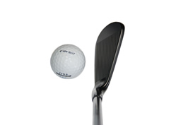 �A�L���v���_�N�c PROTOTYPE KS-1001FH �A�C�A�� �w�b�h�摜