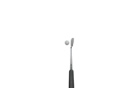 �J���C���[�N�X REX&REGINA P.C. �A�C�A�� �w�b�h�摜