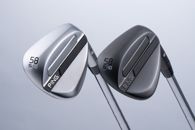 �s�� s259 �E�F�b�W �w�b�h�摜