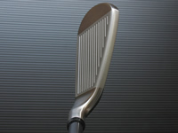 ダンロップ　THE XXIO ゼクシオ　アイアン　ヘッド画像