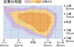 反発分布図